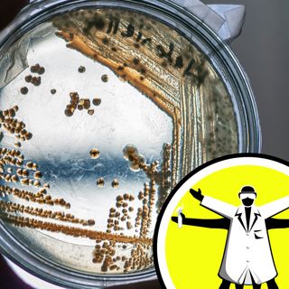 New ways to combat the Antibiotic Apocalypse