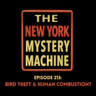Episode 213: "Bird Theft & Human Combustion?"