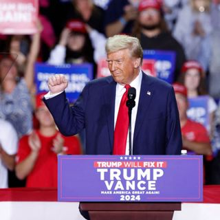 Donald Trump's 'counter-cultural' gamble
