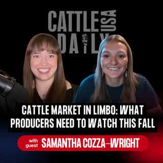 391: Cattle Market in Limbo: What Producers Need to Watch This Fall with Samantha Cozza-Wright