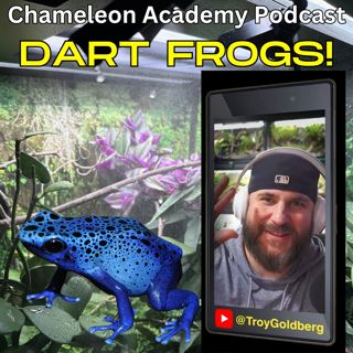 Dart Frogs! with Troy Goldberg