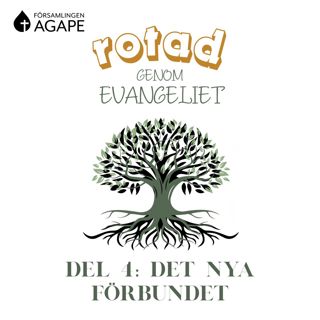 Del 4 - Det nya förbundet (Adam Rosman)