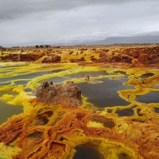 Cosmic Queries – Alien Worlds and Extremophiles with Kennda Lynch
