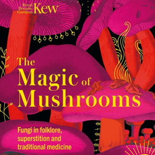 For fans of fungi – The magic of mushrooms