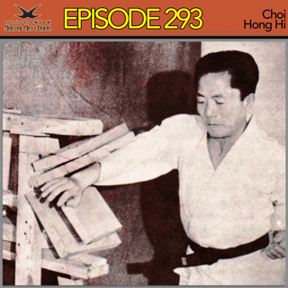 Episode 293 - Choi Hong Hi