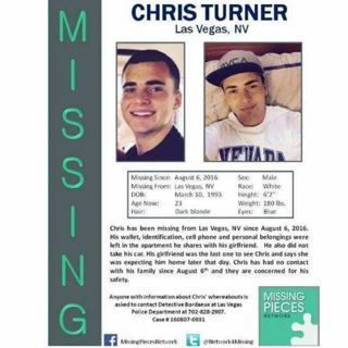 Chris Turner: Web Of Lies