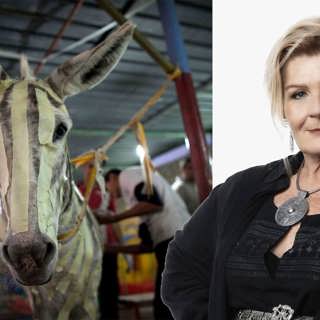 Djurens ställning – om åsnor och män: Cecilia Uddén, Stockholm