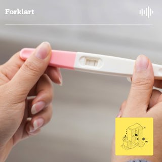 Hjemmeabort: – En dag i helvete