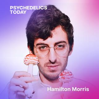PT582 – Is the DEA Sabotaging Psychedelic Research? Inside the Push to Schedule DOI and DOC, with Hamilton Morris