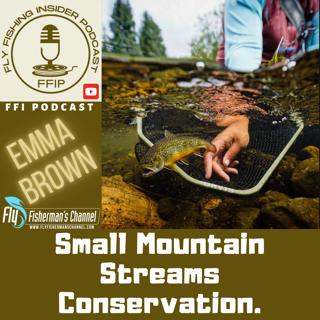 Small Mountain Streams Conservation