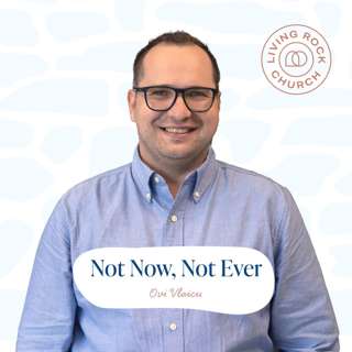Not Now, Not Ever (Ovi Vlaicu)