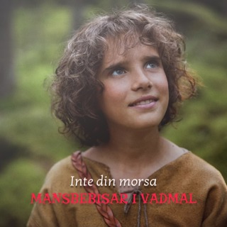 Mansbebisar i vadmal