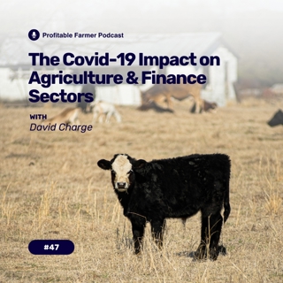 # 47 - The Covid-19 Impact on Agriculture and Finance Sectors