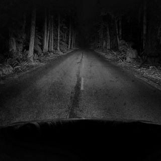I Took A Drive Through The Woods...