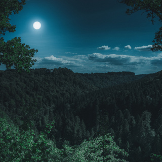 Relaxing Sleep Stories to Help You Get to Sleep Faster, Sleep Music, Calm your Mind, Cure Insomnia