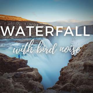 White Noise of a Relaxing Waterfall with Birds Noises to Help You Sleep