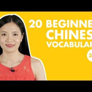 20 Beginner Chinese Vocabulary Easy New HSK 1