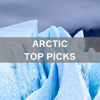 Arctic Top Picks II