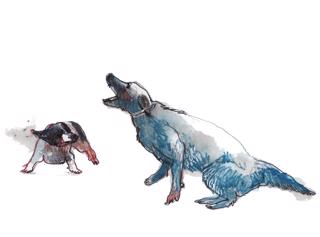 Hundslagsmål