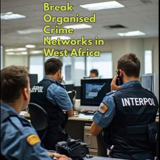 INTERPOL Traces Money Flows to Break Organised Crime Networks in West Africa