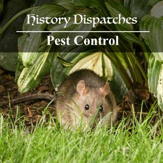 Pest Control - Compilation