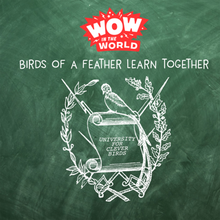 Birds of a Feather Learn Together: How Birds Learn Like You & Me!