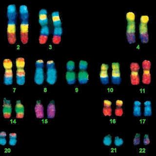 #77 — The Moral Complexity of Genetics
