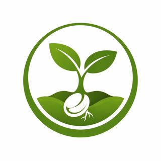 SEED Coalition Advances Clean Air and Sustainable Energy Advocacy in Texas