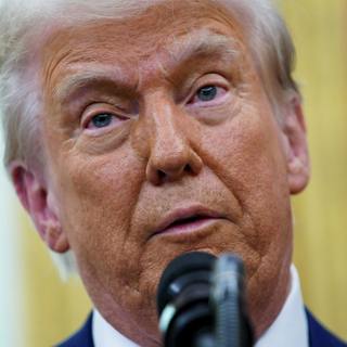 Trump and the judges: a constitutional test