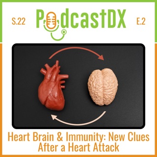 Heart, Brain & Immunity: New Clues After a Heart Attack
