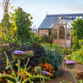 Single-colour planting, GYO tips (for radishes, peas, cardoons), and a floating greenhouse
