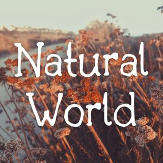 Natural World - Music for Deep Relaxing Sleep