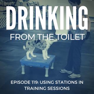 #119: Using stations in training sessions