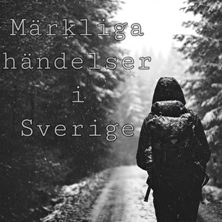 När skogen minns