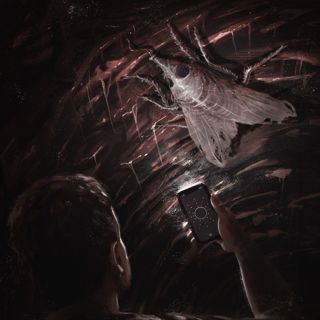 The Heart Below