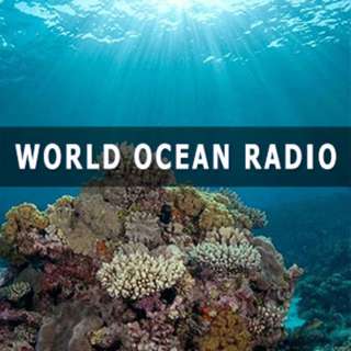 Revealing the Seabed Floor