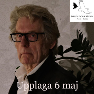 Livet nedtecknat på en servett