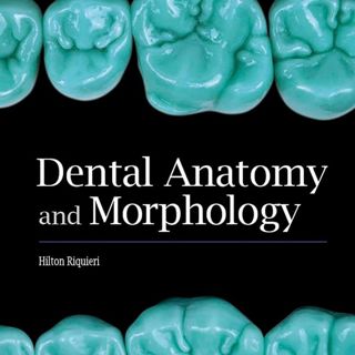 Dental Anatomy and Morphology