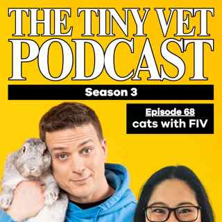 Cats with FIV