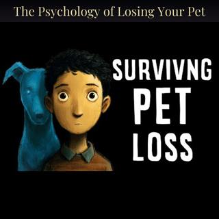 The Psychology of Losing Your Pet