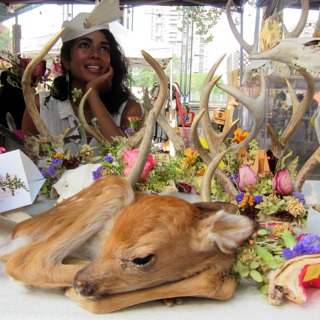 Taxidermy, with Divya Anantharaman