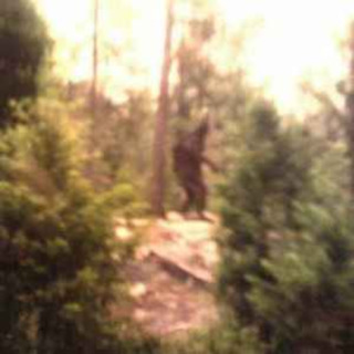 MOST DISTURBING Cryptid Encounters