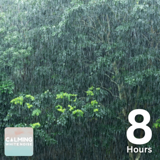 Rain Sounds for Sleeping (8 Hours) | Relaxing Sounds for Deep Sleep