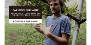 Farming for Wine at Agricola Foradori:   Biodynamics, Cover Crops, and the Honor of Being a Farmer
