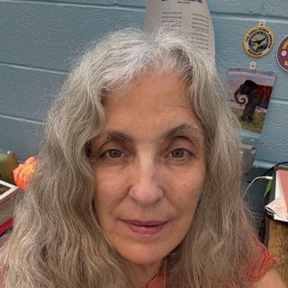 Descent into Peace & Joy. A Wisdom Circle Satsang with Swamini Shraddhananda Saraswati 02152026