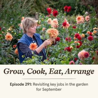 Revisiting key jobs in the garden for September - Episode 291