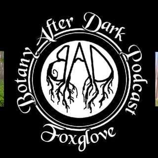 Foxglove: Poison & Healer | Botany After Dark, Epi 10