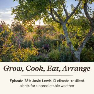 Josie Lewis: 10 climate-resilient plants for unpredictable weather - Episode 281