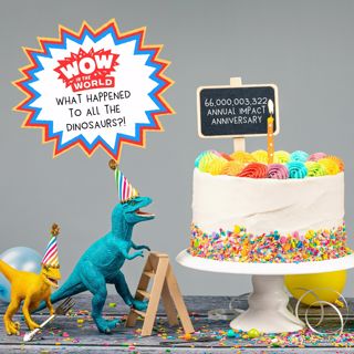 What Happened to the Dinosaurs?!