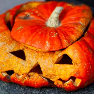 Rotting Stench Of Pumpkin Spice